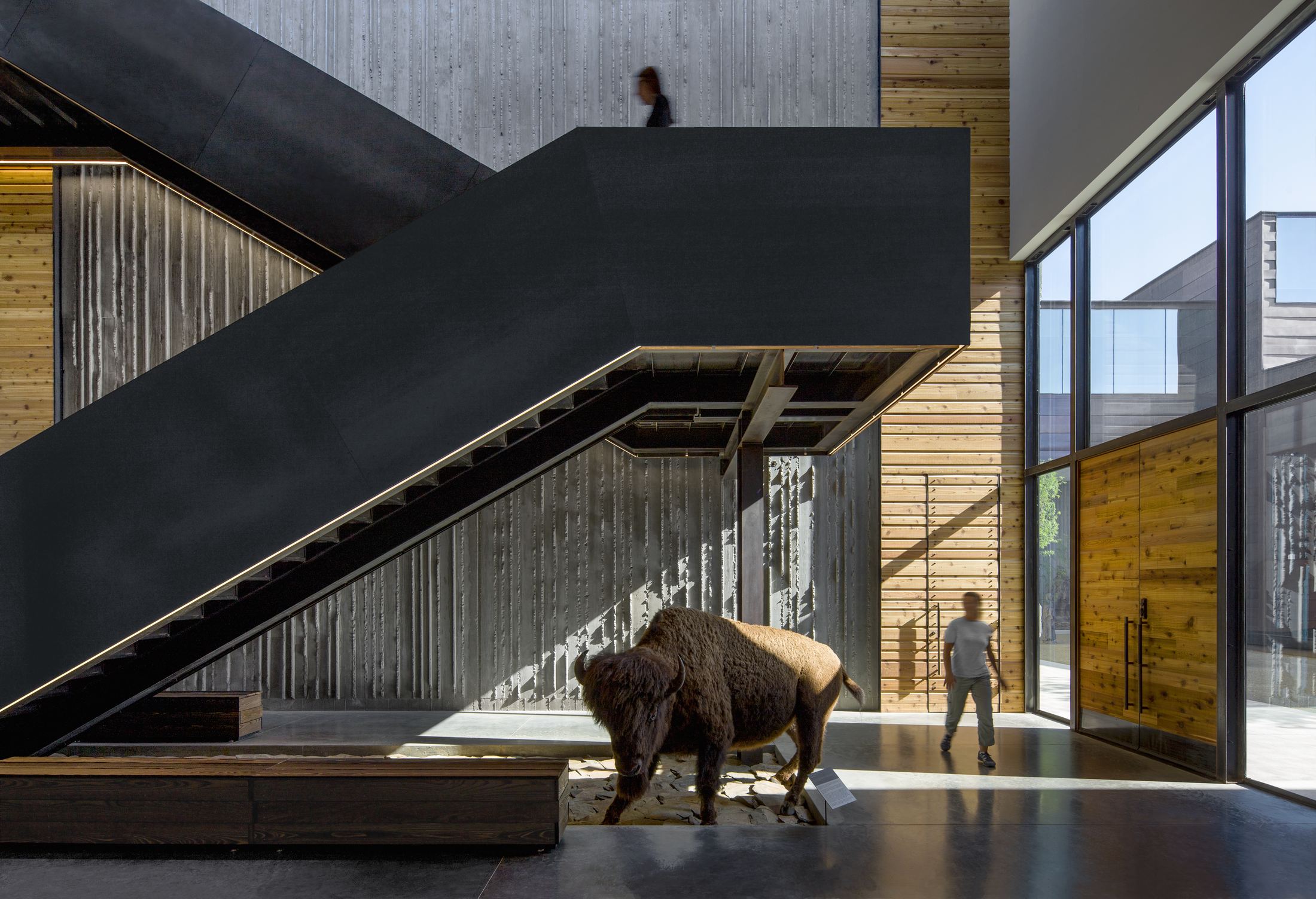 Sculptural stair and material transition